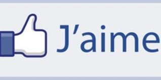 jaime referencement immobilier